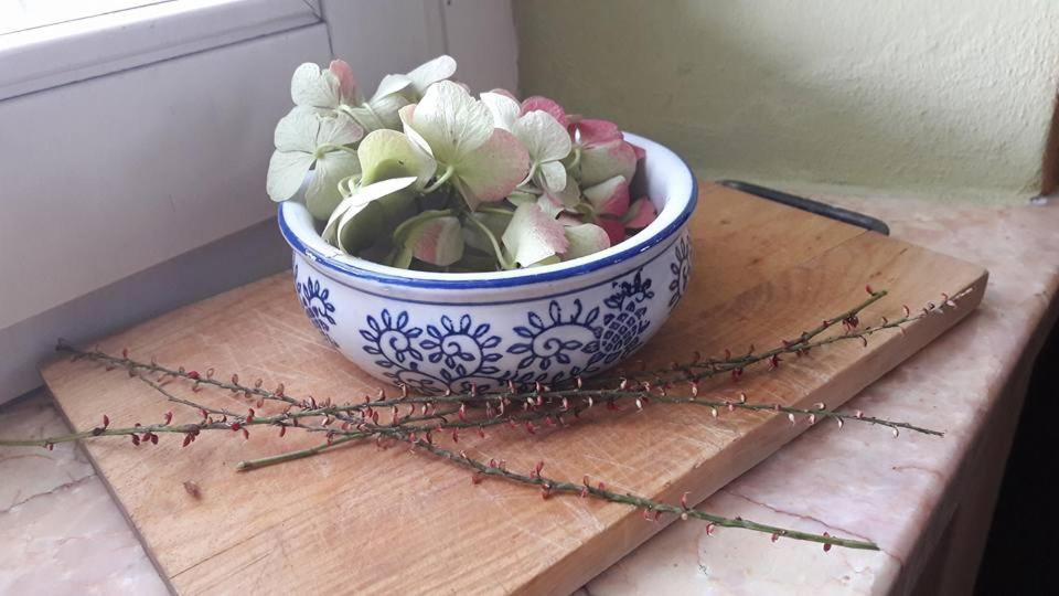 Carrobbio Bed&Breakfast ξενώνας Κρεμόνα Εξωτερικό φωτογραφία