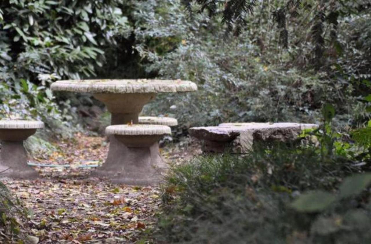 Carrobbio Bed&Breakfast ξενώνας Κρεμόνα Εξωτερικό φωτογραφία