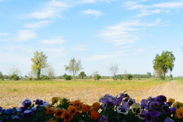 Carrobbio Bed&Breakfast ξενώνας Κρεμόνα Εξωτερικό φωτογραφία
